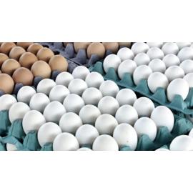 طبق بيض - 30 بيضة